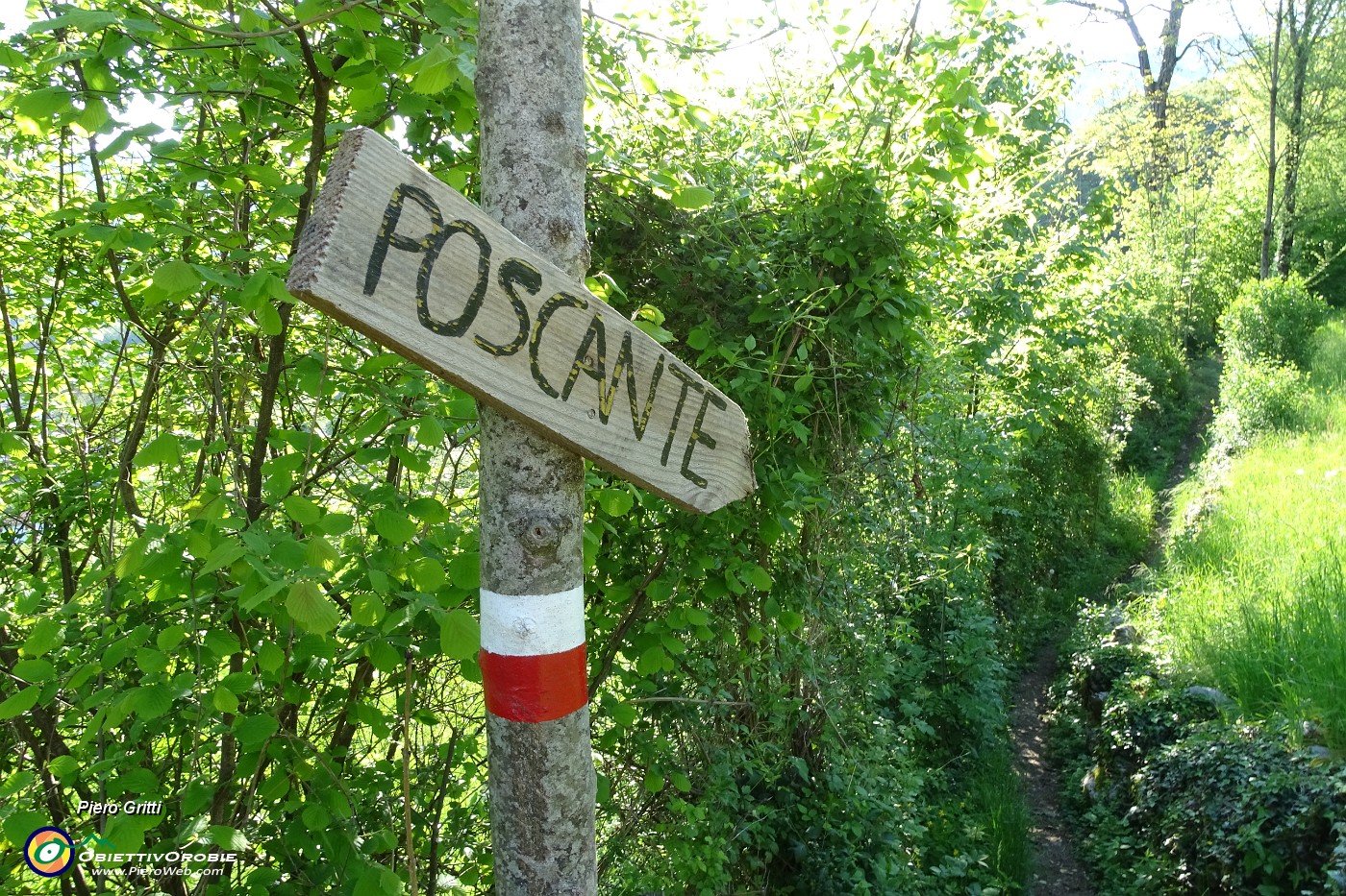 27 Sulla 'Via delle castagne' (Sent. CAI 50A) da Piazza Martina a  Poscante.JPG